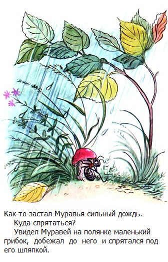 сказки сутеева, картинки сутеева, под грибом смотреть онлайн