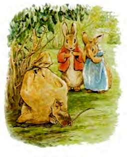 Беатрис Поттер детская сказка про кроликов. Пампушата 14