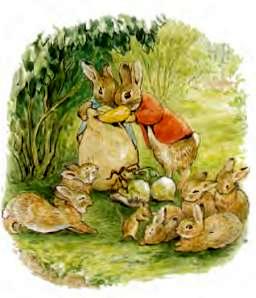 Беатрис Поттер детская сказка про кроликов. Пампушата 15