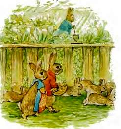 Беатрис Поттер детская сказка про кроликов. Пампушата 2