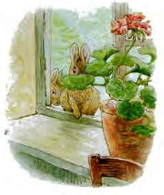 Беатрис Поттер детская сказка про кроликов. Пампушата 21