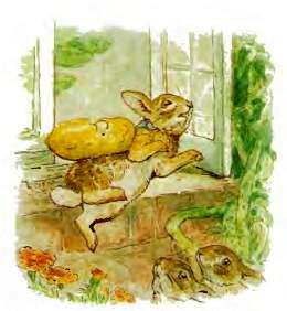 Беатрис Поттер детская сказка про кроликов. Пампушата 25