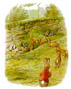 Беатрис Поттер детская сказка про кроликов. Пампушата 4