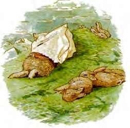 Беатрис Поттер детская сказка про кроликов. Пампушата 6