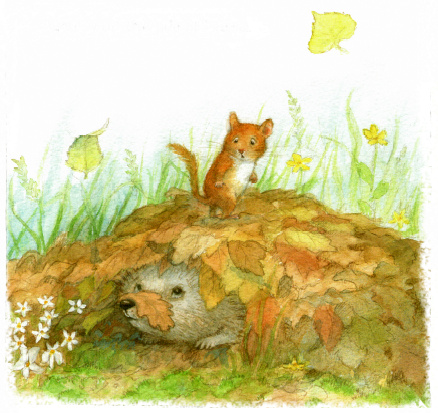 11 Сказки малышам сказка на ночь Петра Браун сказка про мышонка