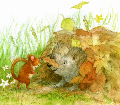 12 Сказки малышам сказка на ночь Петра Браун сказка про мышонка