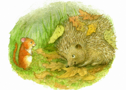 13 Сказки малышам сказка на ночь Петра Браун сказка про мышонка