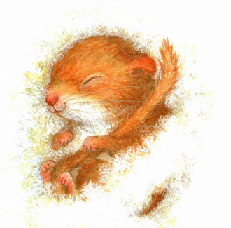 25 Сказки малышам сказка на ночь Петра Браун сказка про мышонка