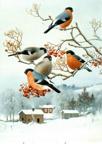 новогодняя история, имняя история, зимняя сказка, снегири